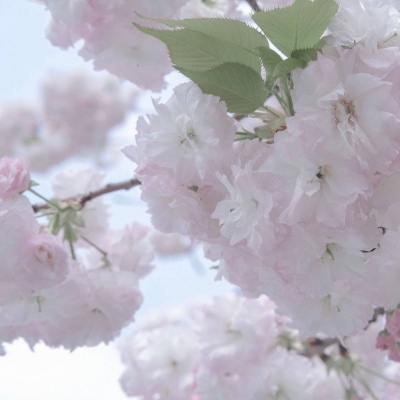 Furry插画细节设计福瑞交流群